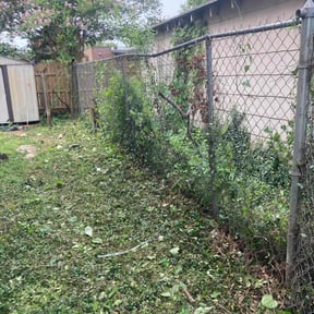 Weeding by GOODLAWNCARE reviewed on November 14, 2023
