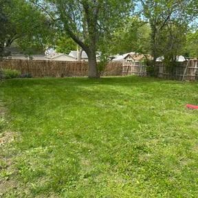 Leaf Removal by George’s lawn services reviewed on October 19, 2024