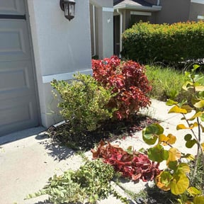 Bush Trimming by P & S Property Maintenance reviewed on July 24, 2022