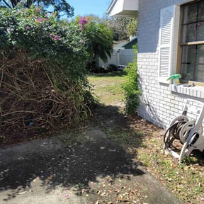 Bush Trimming by BBCNP Services reviewed on September 21, 2024