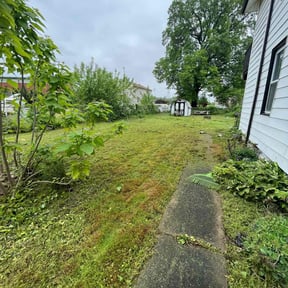 Cleanups by Coral Leaf Landscaping reviewed on July 9, 2025