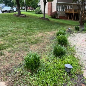 Bush Trimming by Green City Landscaping Co LLC reviewed on June 7, 2022