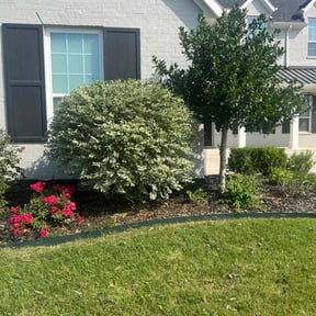 Bush Trimming by james lawn service reviewed on May 25, 2022