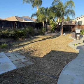 Bush Trimming by The Lawn Cypress reviewed on April 14, 2022