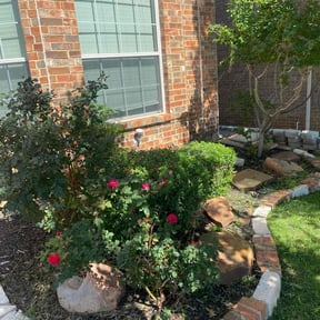 Bush Trimming by The Yard Butler of DFW reviewed on July 11, 2022