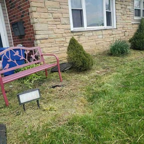 Flower Bed Weeding by Genee Buckner reviewed on July 17, 2022