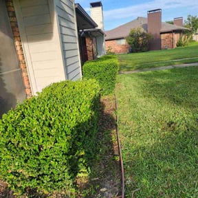Bush Trimming by QCK SOLUTIONS LLC reviewed on May 31, 2025