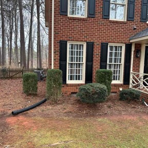 Bush Trimming by deeper roots lawncare reviewed on October 31, 2022