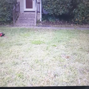 Cleanups by Field of Dreams Landscaping reviewed on April 5, 2025