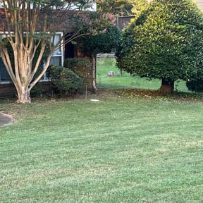 Bush Trimming by The Family Home & Lawn Care reviewed on June 9, 2022