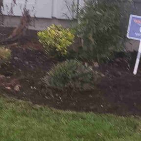 Bush Trimming by SW Services reviewed on May 17, 2025