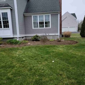 Leaf Removal by Paul and Paul lawn service and landscaping reviewed on June 24, 2022