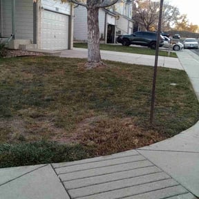 Leaf Removal by Cleancut Landscaping reviewed on April 27, 2025