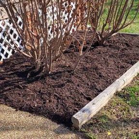 Mulching by Js Lawn Care reviewed on August 10, 2022