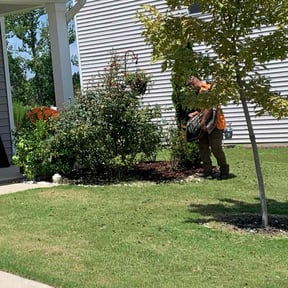 Mulching by B&C Lawn and Landscaping LLC reviewed on August 21, 2024