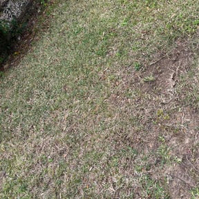 Leaf Removal by Eagles Outdoor Services reviewed on May 25, 2022