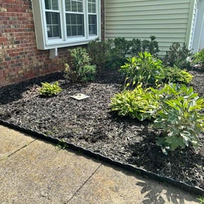 Weeding by Green Cuts Lawn Care reviewed on December 22, 2024