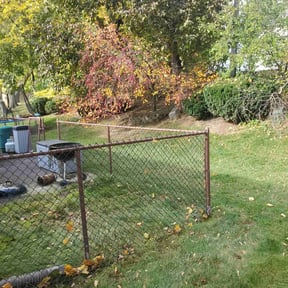 Leaf Removal by XL lawn mowing  reviewed on May 23, 2022