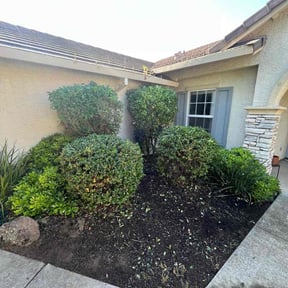 Bush Trimming by BENNETT LINKS SOLUTIONS reviewed on April 28, 2021