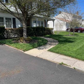 Leaf Removal by Nieves lawn care reviewed on October 28, 2021