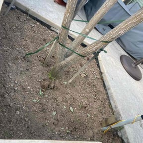 Flower Bed Weeding by Sir Knights Lawn Care reviewed on July 11, 2022