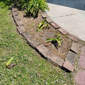 Flower Bed Weeding by PerfectCutLawn reviewed on September 8, 2024