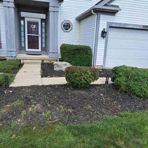 Bush Trimming by Lisa James Contracting LLC reviewed on September 12, 2024