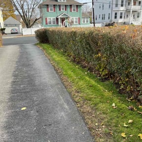 Cleanups by Top Turf L.L.C reviewed on May 9, 2022