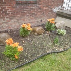 Flower Bed Weeding by Burton Lawn Care reviewed on November 30, 2024