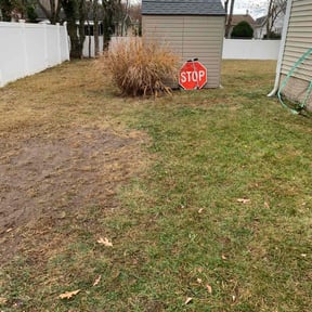 Leaf Removal by Meuniot Enterprises reviewed on June 2, 2022
