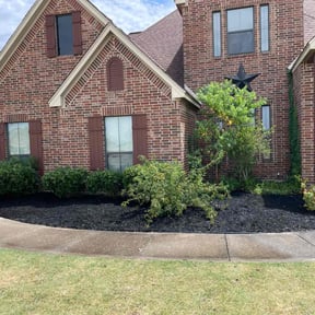 Cleanups by Belmontes Landscape LLC reviewed on April 1, 2025