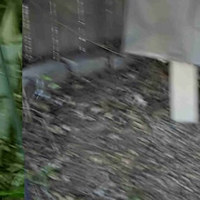 Mulching by JA Performance Outdoor Services reviewed on December 7, 2024