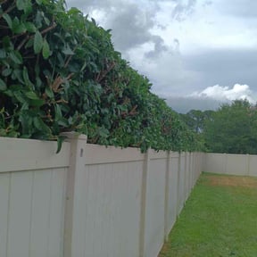 Bush Trimming by Scott Lawncare reviewed on May 20, 2022