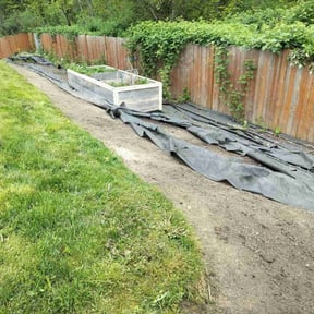 Weeding by A1 landscaping reviewed on July 1, 2025