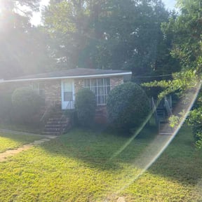 Bush Trimming by Graves landscaping reviewed on June 4, 2025