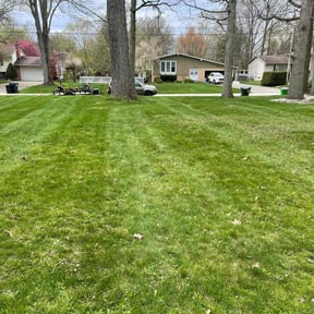 Cleanups by Green Matters Lawn Care reviewed on June 7, 2025