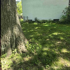 Cleanups by Kingdom Creations reviewed on April 7, 2025