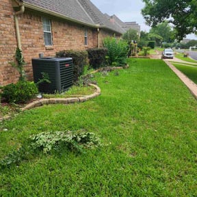 Bush Trimming by Shawn Wynn lawn care reviewed on July 23, 2022