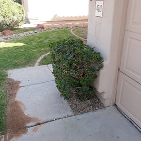 Bush Trimming by Smiley's Landscaping LLC reviewed on August 11, 2025