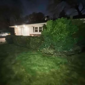 Bush Trimming by Kee Lawn care reviewed on August 3, 2022