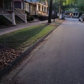 Leaf Removal by LSLTDallas/FortWorthTruGreen reviewed on April 23, 2025