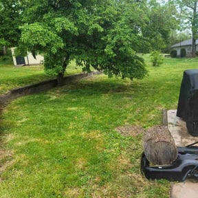 Leaf Removal by Edgar Yanez Services reviewed on April 20, 2022