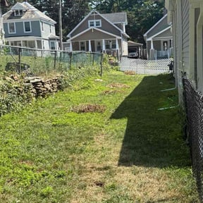 Leaf Removal by Pleasant Rowe Lawn Care reviewed on July 12, 2025