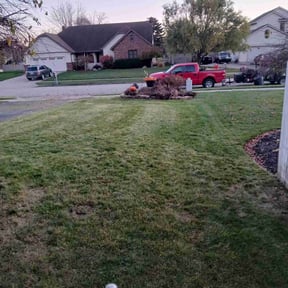 Leaf Removal by Loyalty Lawn Care and Landscaping LLC reviewed on September 29, 2020