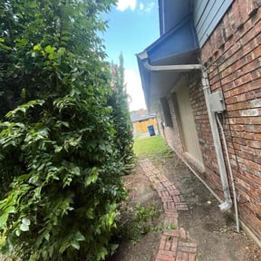 Bush Trimming by A Cut Above reviewed on June 14, 2025