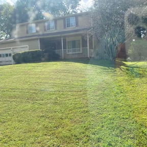 Bush Trimming by HTx Landscaping Services reviewed on May 10, 2022