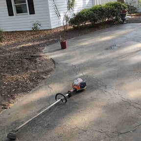 Leaf Removal by Jennifer Butler reviewed on November 22, 2021