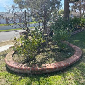Flower Bed Weeding by Rjs landscaping and general clean up llc reviewed on May 15, 2020