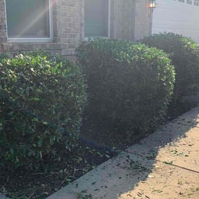 Bush Trimming by Big Chief Lawn Care reviewed on May 18, 2022