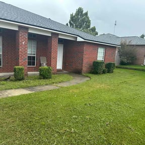 Bush Trimming by DC Landscaping Tree Cutting and Pressure Washing reviewed on December 16, 2021